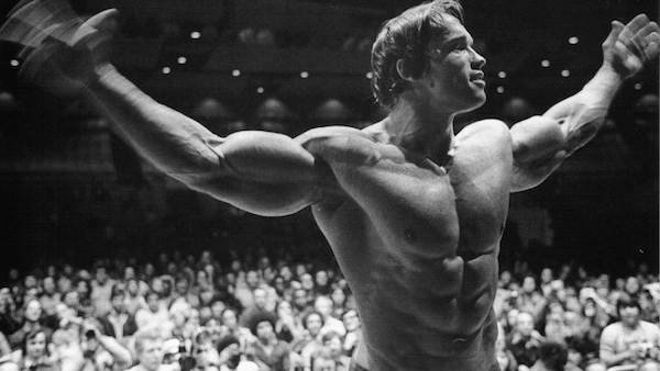 Arnold-Schwarzenegger-Professional-Success